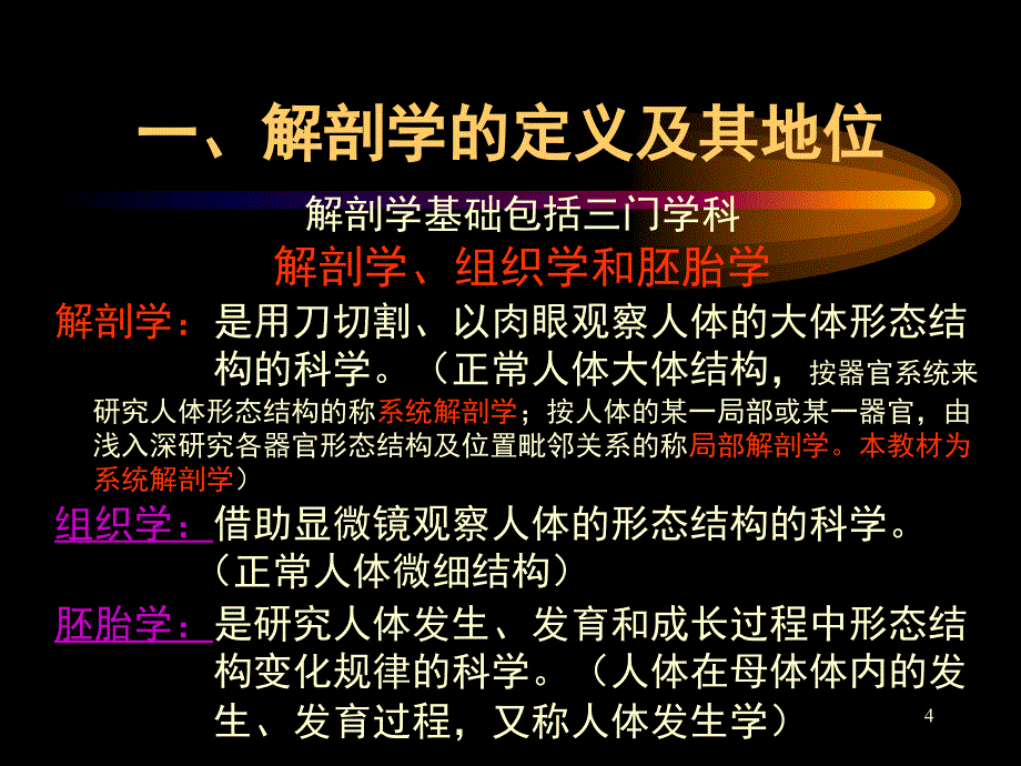 卫校第1章绪论(解剖学基础)_第4页