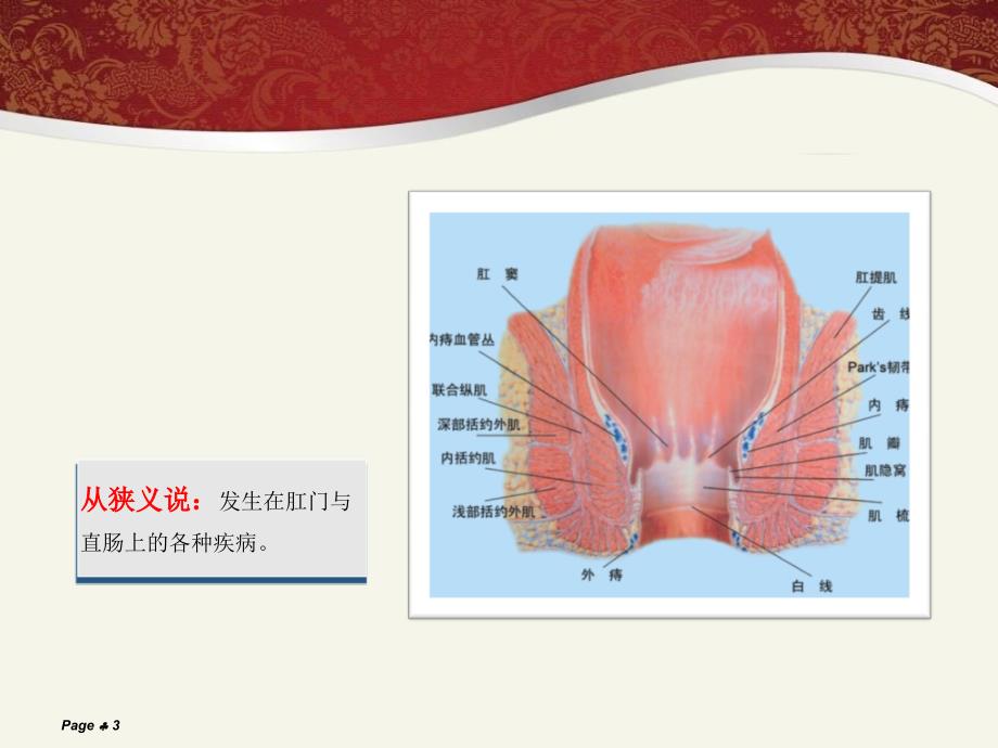 肛肠疾病科普知识_第3页