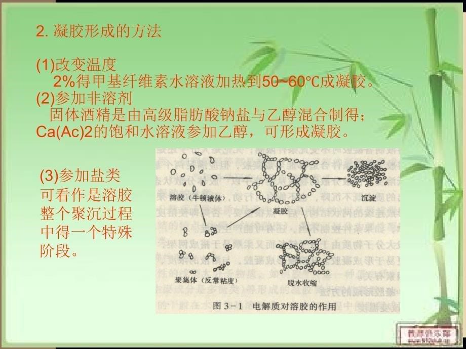 凝胶的性质及其作用PPT课件_第5页