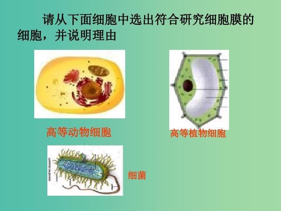 高中生物第三章细胞的基本结构3.1细胞膜-系统的边界课件2新人教版.ppt_第5页