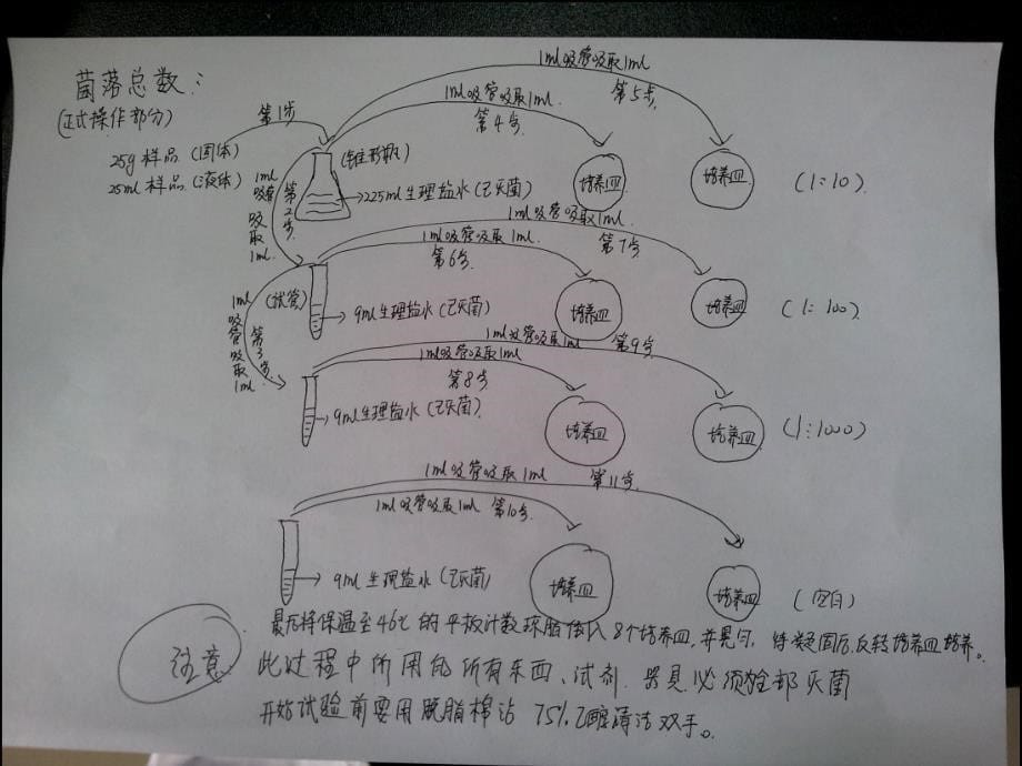 菌落总数与大肠菌群数测定_第5页