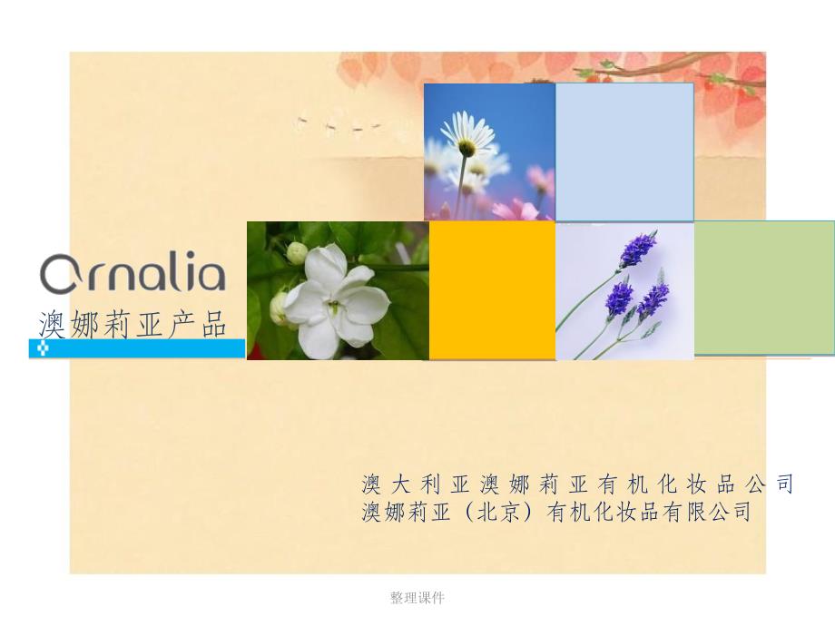 ornalia品牌产品2.澳娜莉亚产品新_第1页