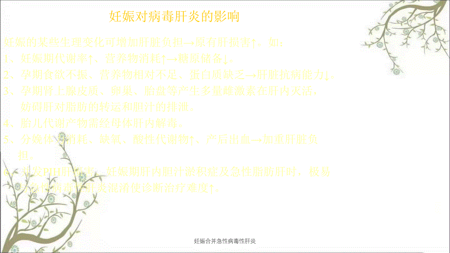 妊娠合并急性病毒性肝炎_第4页