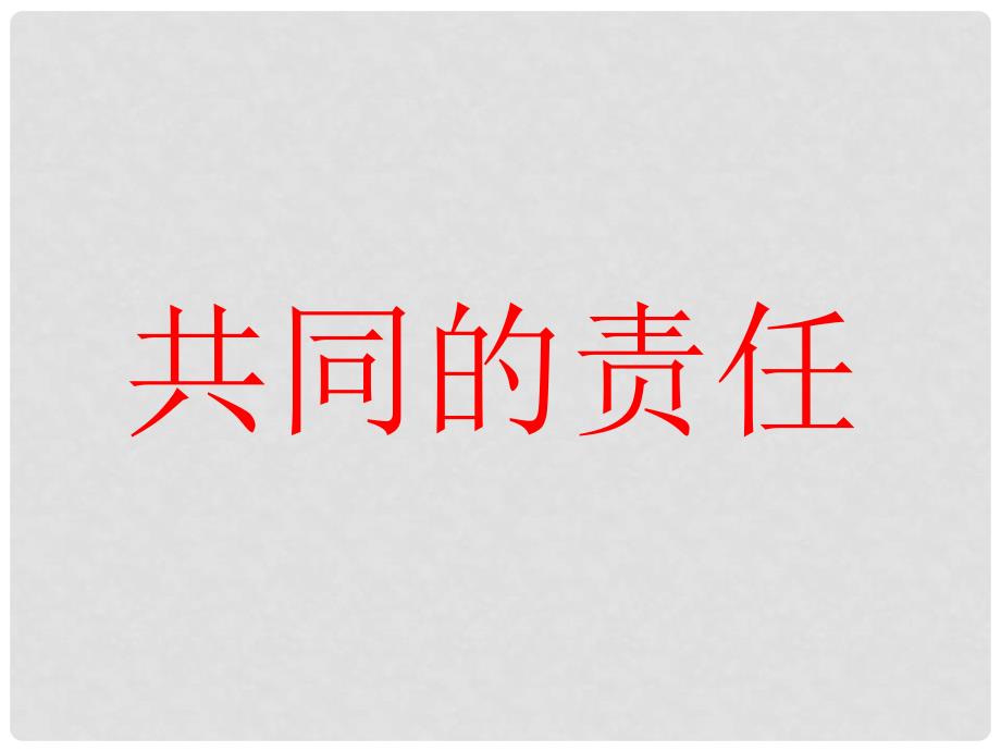 六年级品德与社会上册 国家的主人共同的责任课件 北师大版_第4页