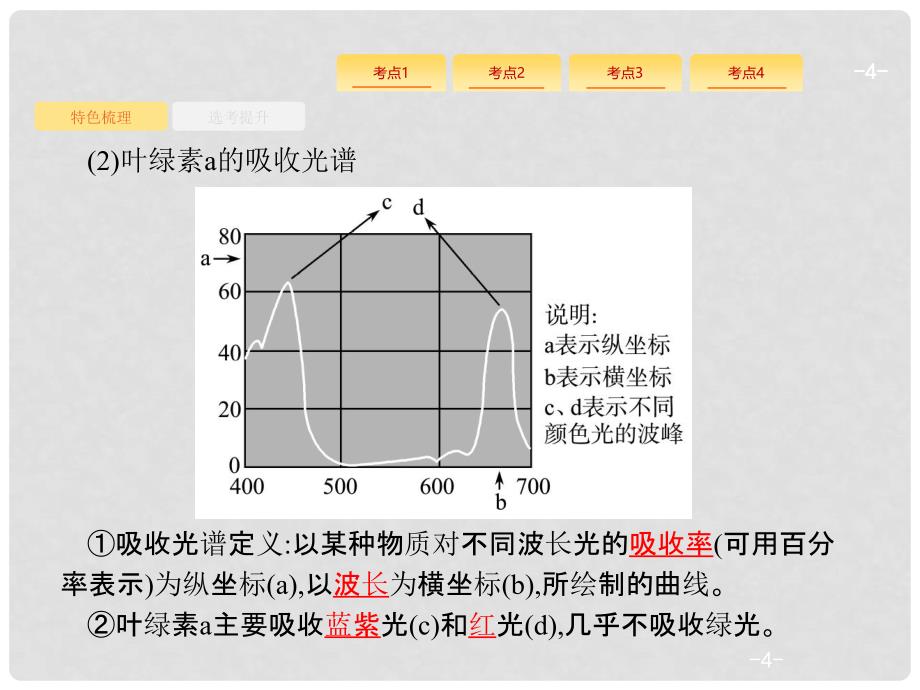 高考生物 6光合作用复习课件_第4页