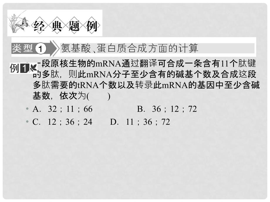 高三生物二轮复习 第2部分 专题1 第5讲 掌握规律——快解计算类选择题课件_第3页