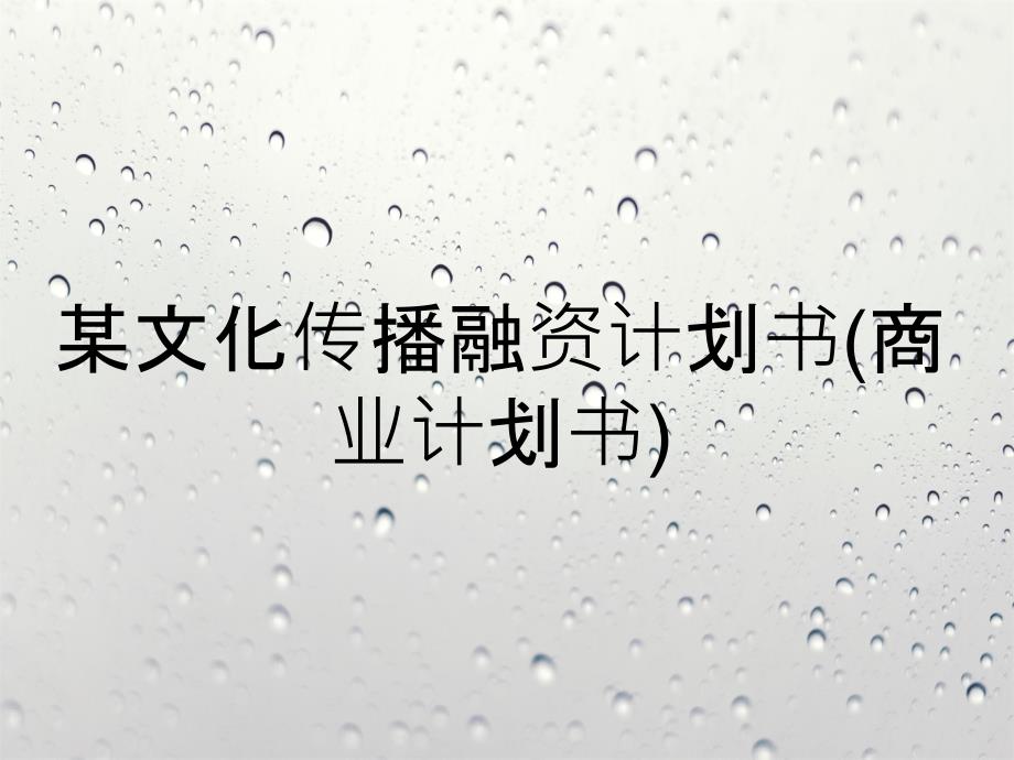 某文化传播有限公司融资计划书商业计划书_第1页