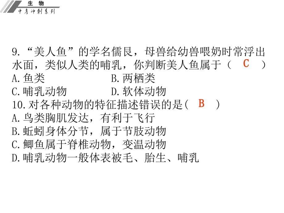 广东省中山市中考生物冲刺复习 仿真考场 八上课件 新人教版_第5页