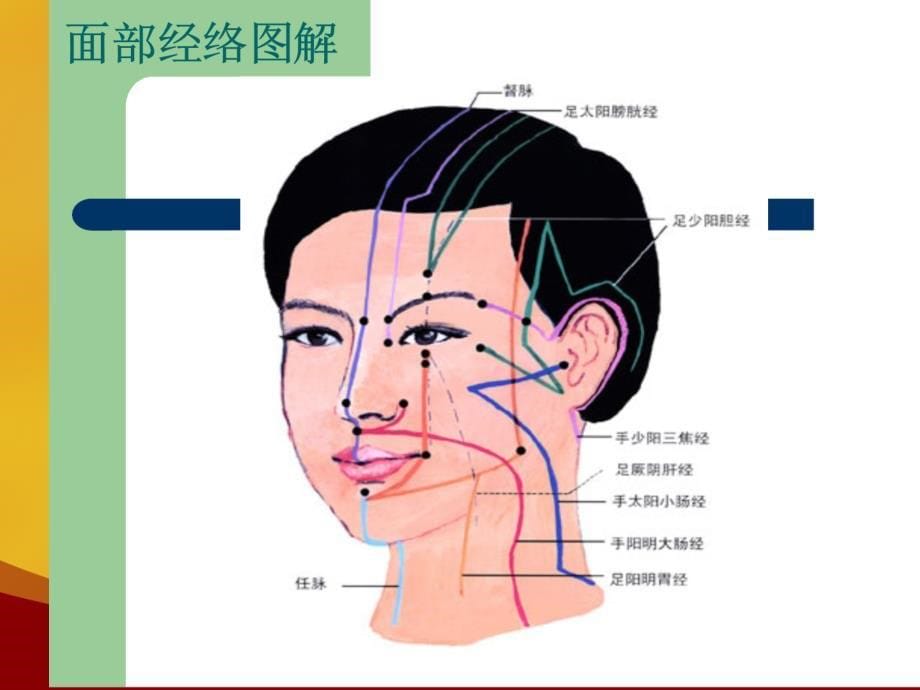 加美90弹力眼雕术_第5页