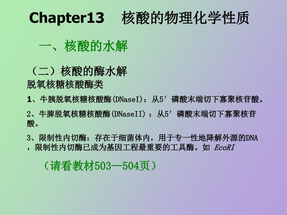 核酸的物理化学性质_第4页