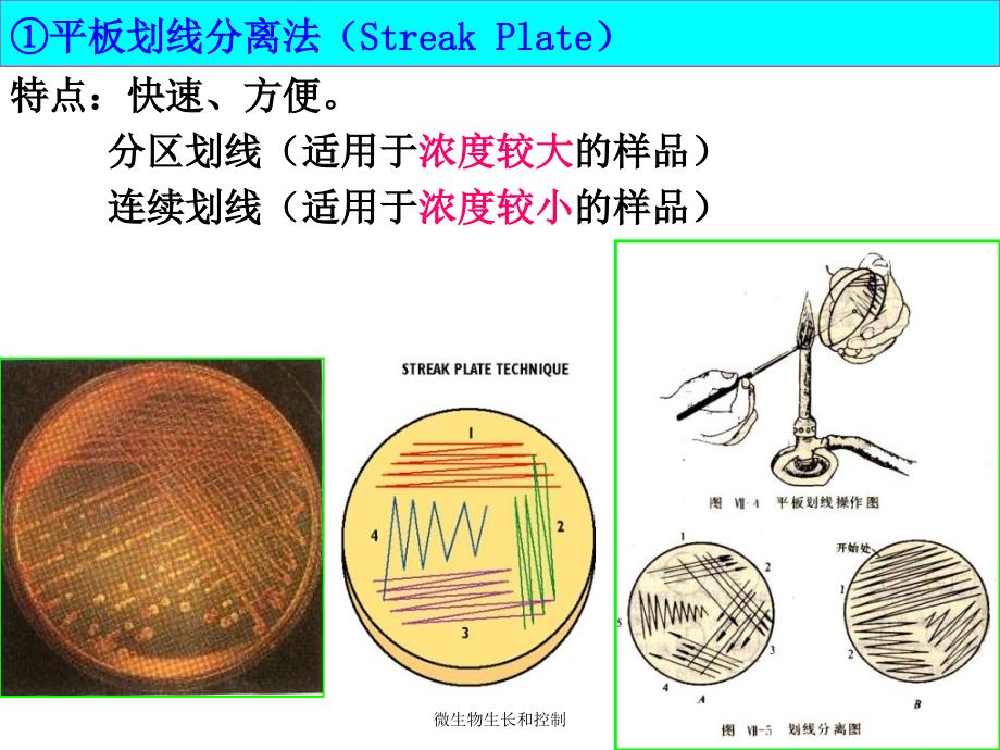 微生物生长和控制课件_第4页