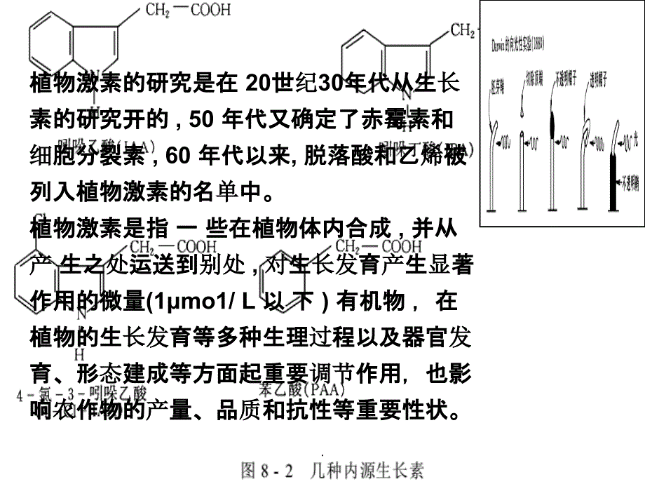 植物激素及其作用机理_第2页