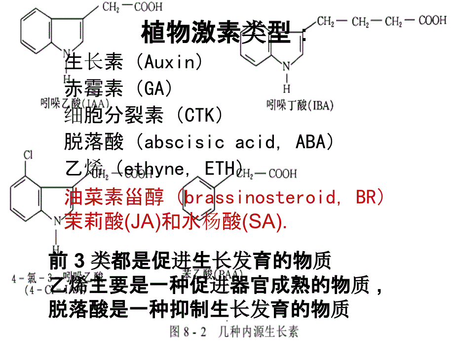 植物激素及其作用机理_第3页