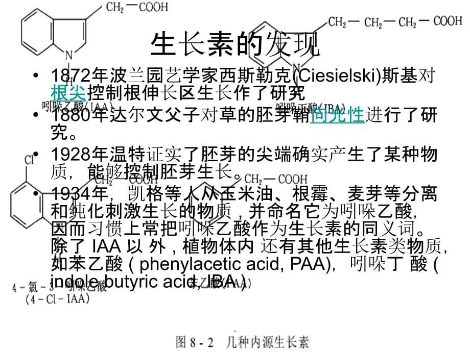 植物激素及其作用机理_第5页