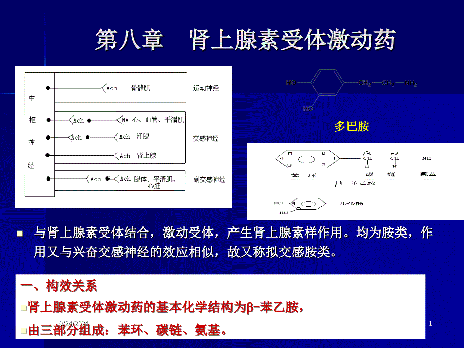 肾上腺素受体药_第1页