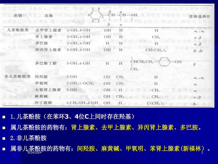 肾上腺素受体药_第2页