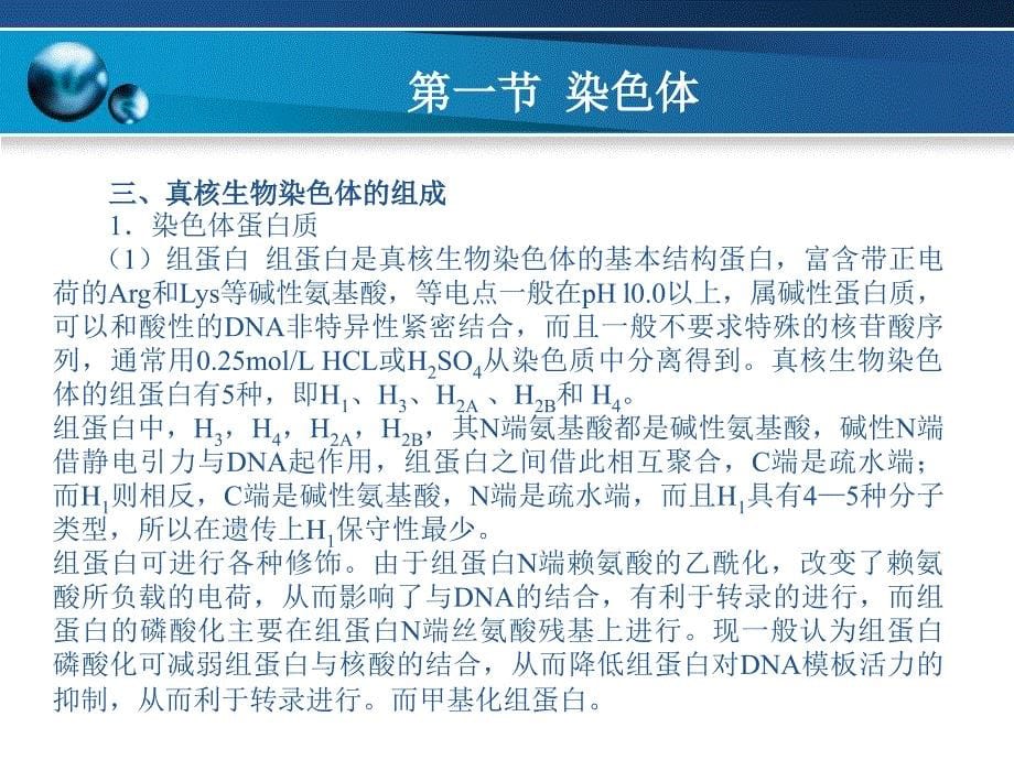 DNA的结构复制和修复_第5页