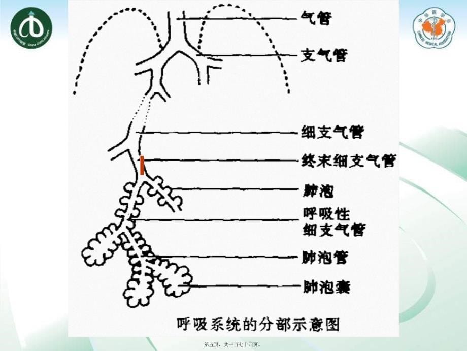 慢性支气管炎10.9班课件_第5页