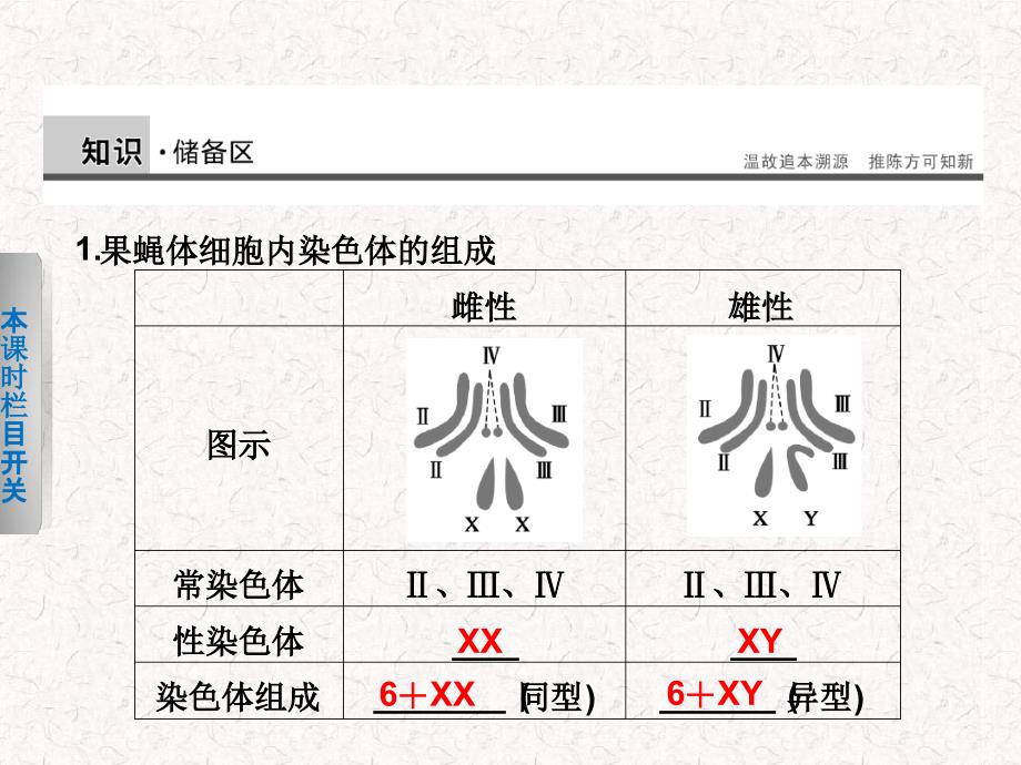 高中生物431伴性遗传课件北师大版必修2_第2页