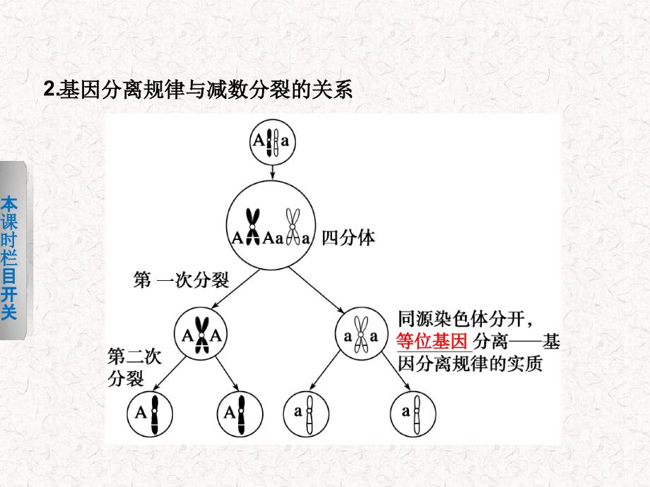 高中生物431伴性遗传课件北师大版必修2_第3页