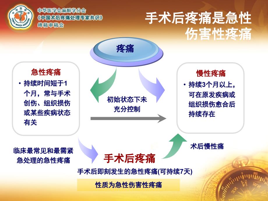 术后疼痛专家共识课件_第4页