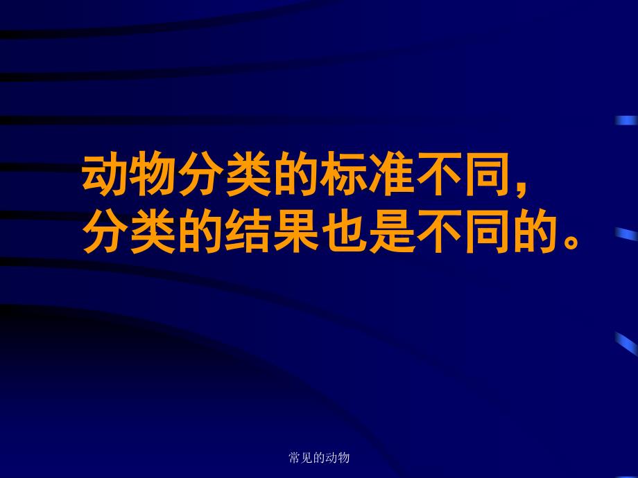 常见的动物课件_第4页