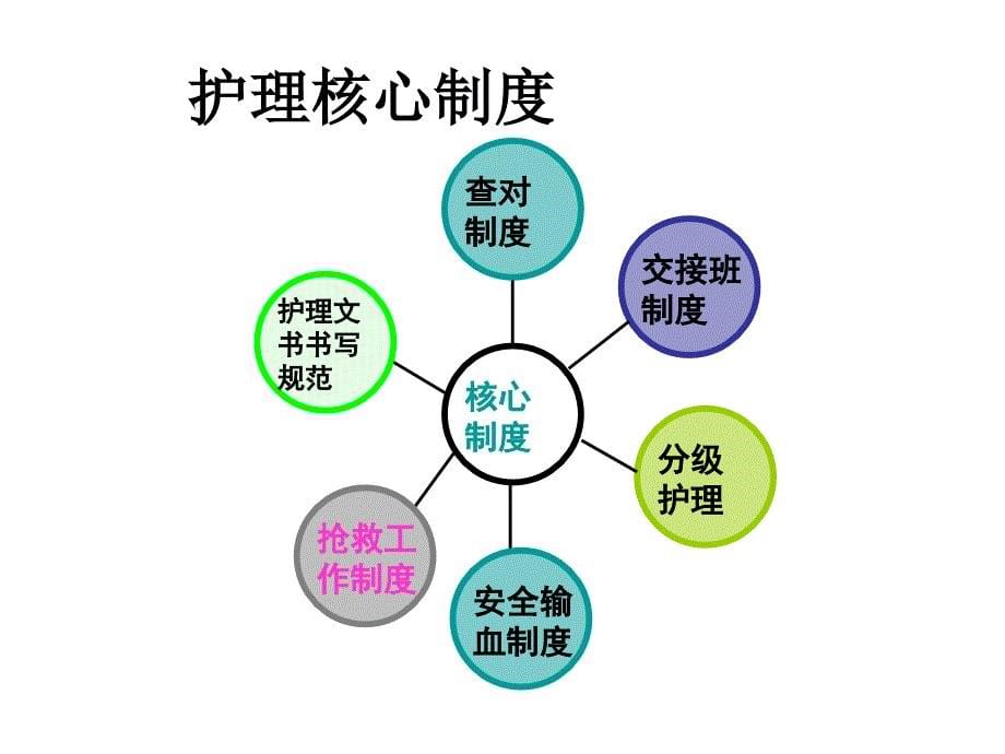 [精选]护理核心制度培训新_第5页