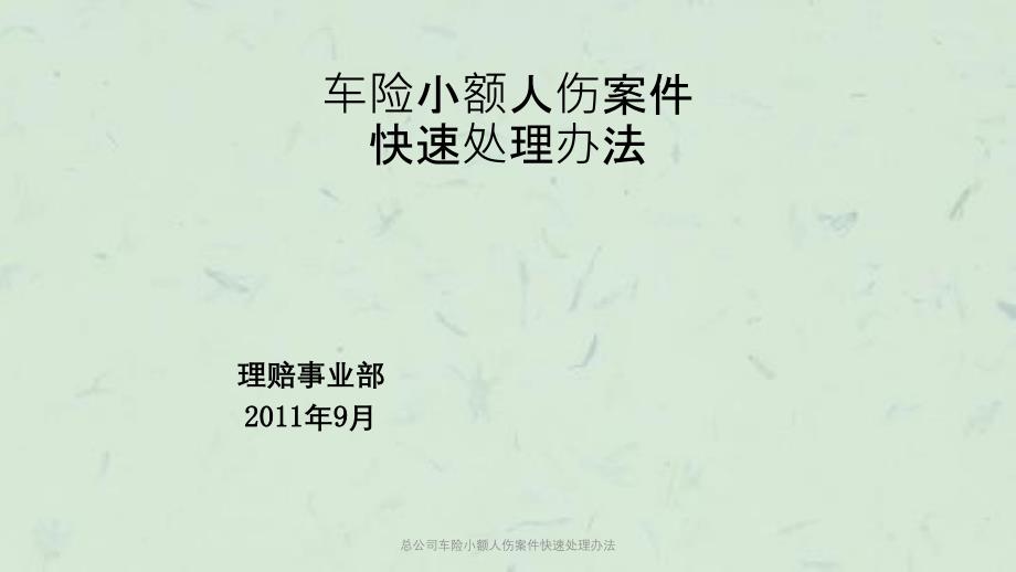 总公司车险小额人伤案件快速处理办法课件_第1页