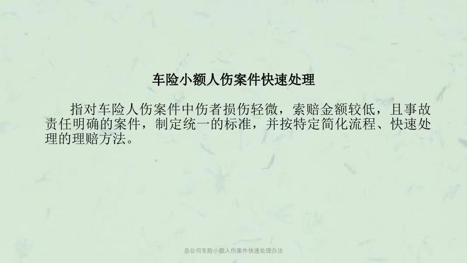 总公司车险小额人伤案件快速处理办法课件_第3页