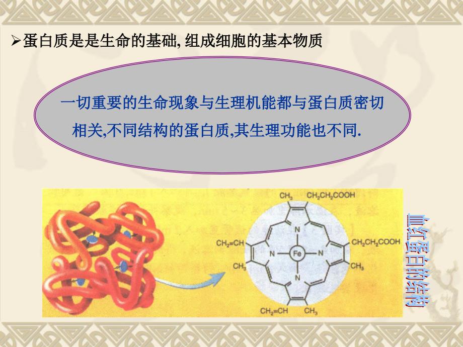 十四 酸、多肽、蛋白质(制药工程)_第4页