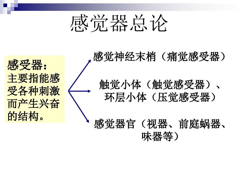 解剖之感觉器ppt课件_第2页