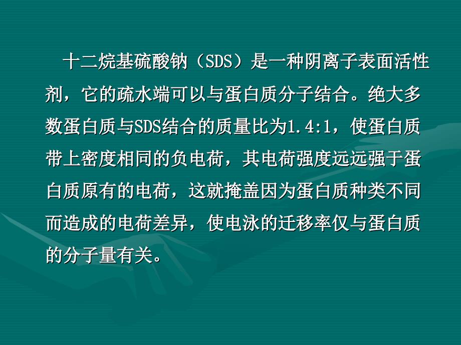 SDS聚丙烯酰胺凝胶电泳法测定蛋白质的相对分子质量解析_第4页