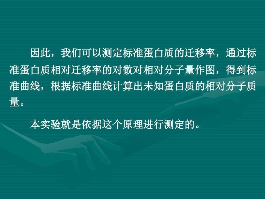 SDS聚丙烯酰胺凝胶电泳法测定蛋白质的相对分子质量解析_第5页