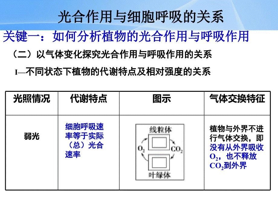 2015学年高三一轮复习光合作用与细胞呼吸的关系.ppt_第5页