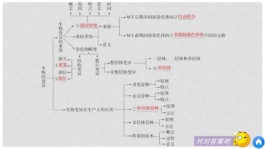 高中生物 第四章 生物的变异章末整合提升课件 浙科版必修2_第4页