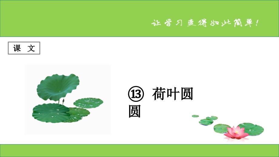 课文第13课《荷叶圆圆》_第1页