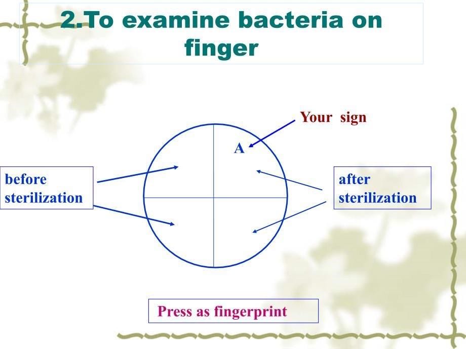 医学微生物实验二(新)_第5页