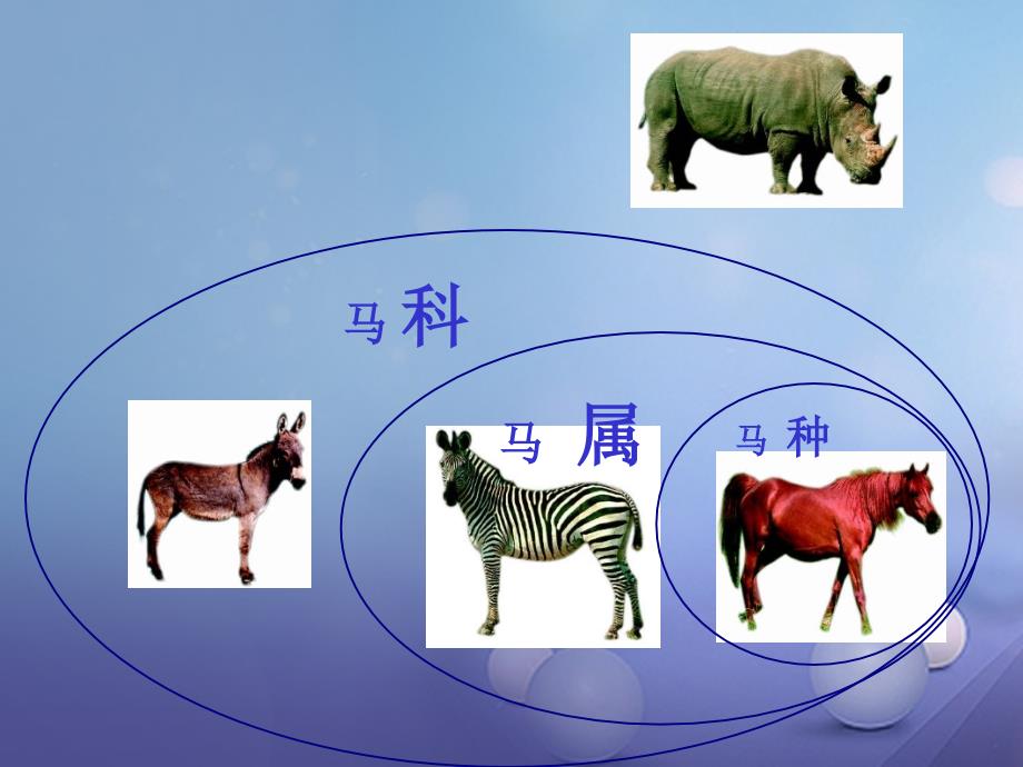 七年级生物上册 第五章 第二节 练习对生物进行鉴别 动物的分类等级素材 新版冀教版_第4页