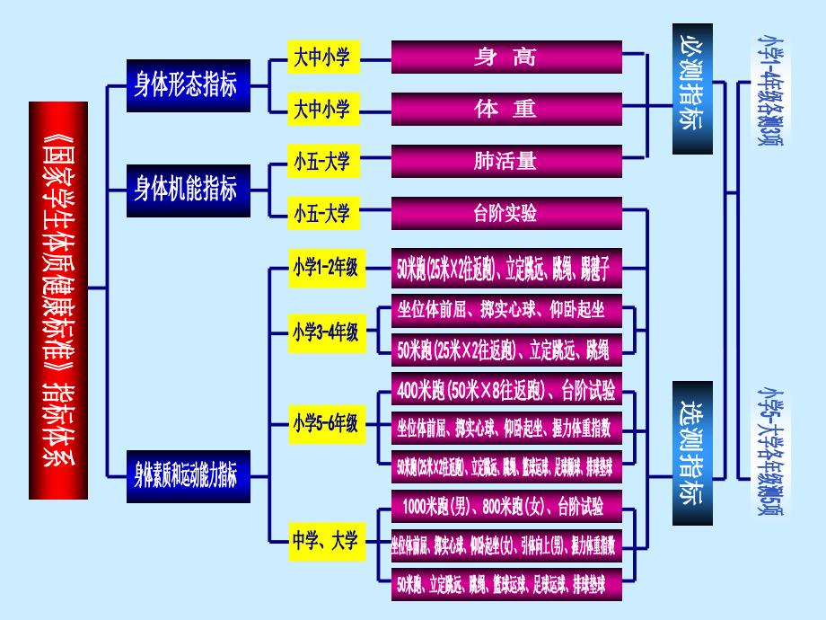 国家学生体质健康标准解读.ppt_第4页