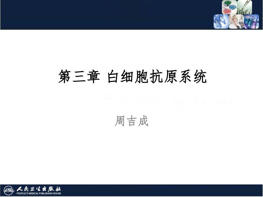 白细胞抗原系统PPT精品文档_第1页