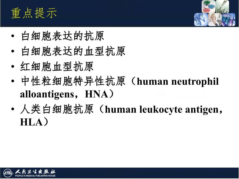 白细胞抗原系统PPT精品文档_第4页