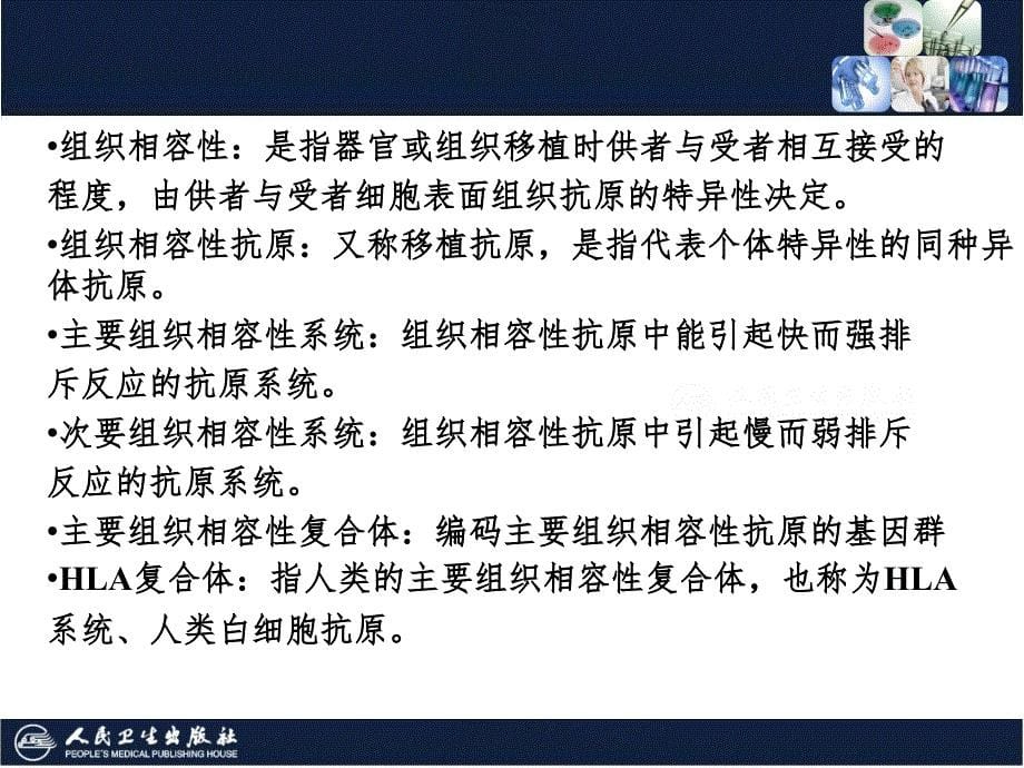 白细胞抗原系统PPT精品文档_第5页