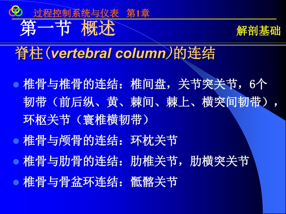 脊柱影像解剖课件_第3页