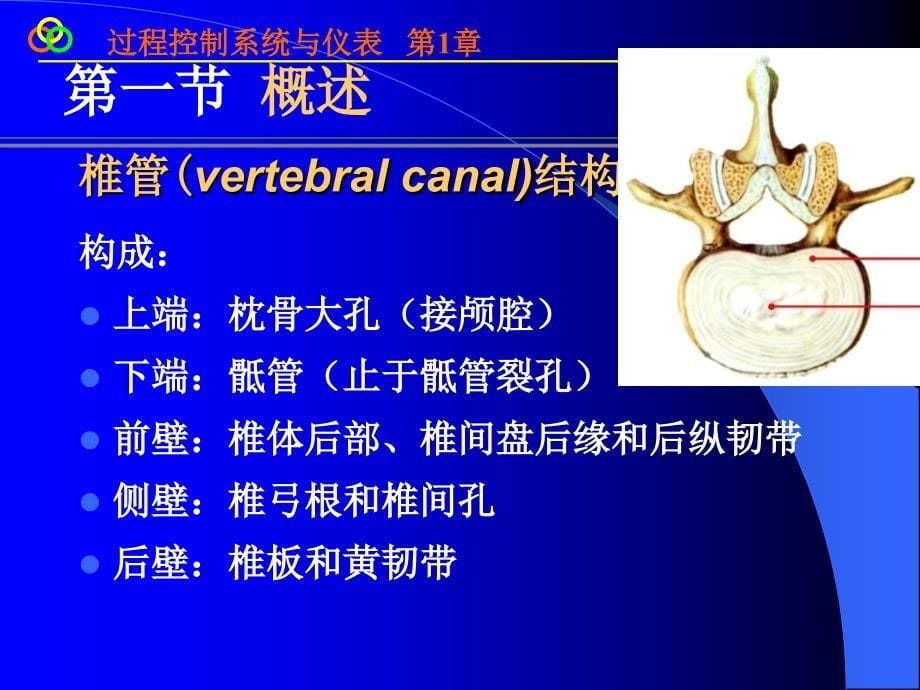 脊柱影像解剖课件_第5页