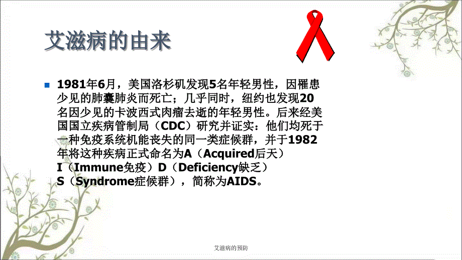 艾滋病的预防课件_第4页