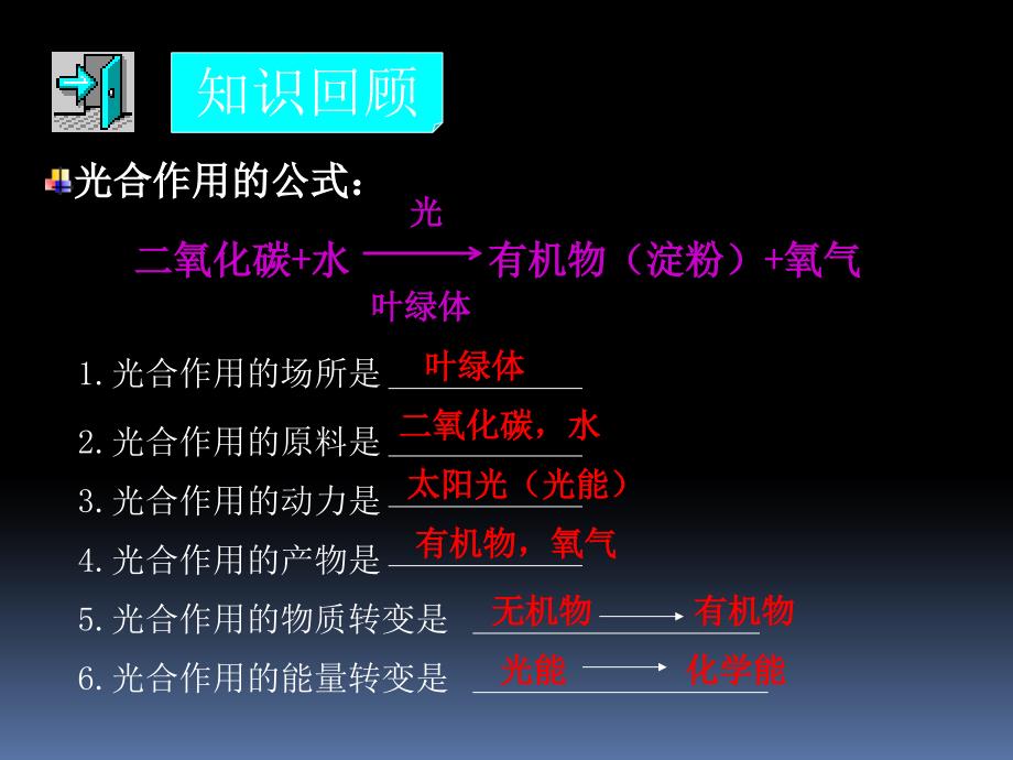 植物的呼吸作用_第2页