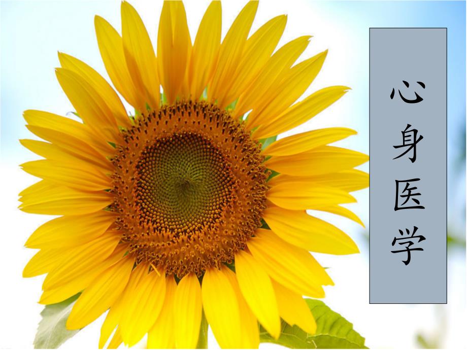 睡眠障碍课件_第1页