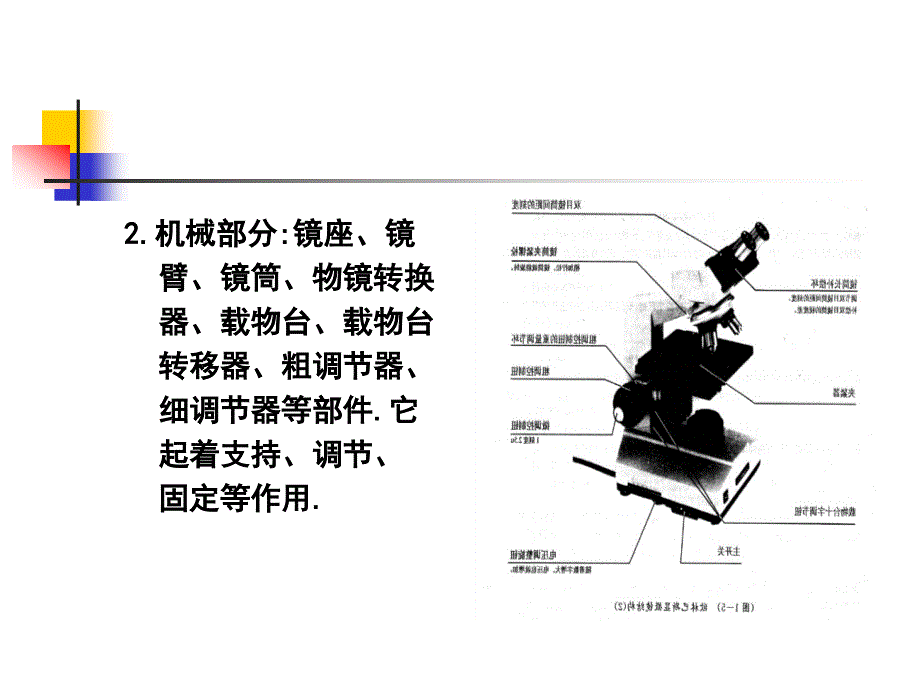 实验三-显微镜油镜的使用及细菌形态观察_第4页