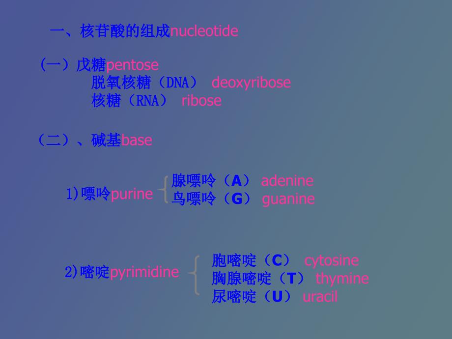 概念核酸nucleicacid是一类携带遗传_第4页