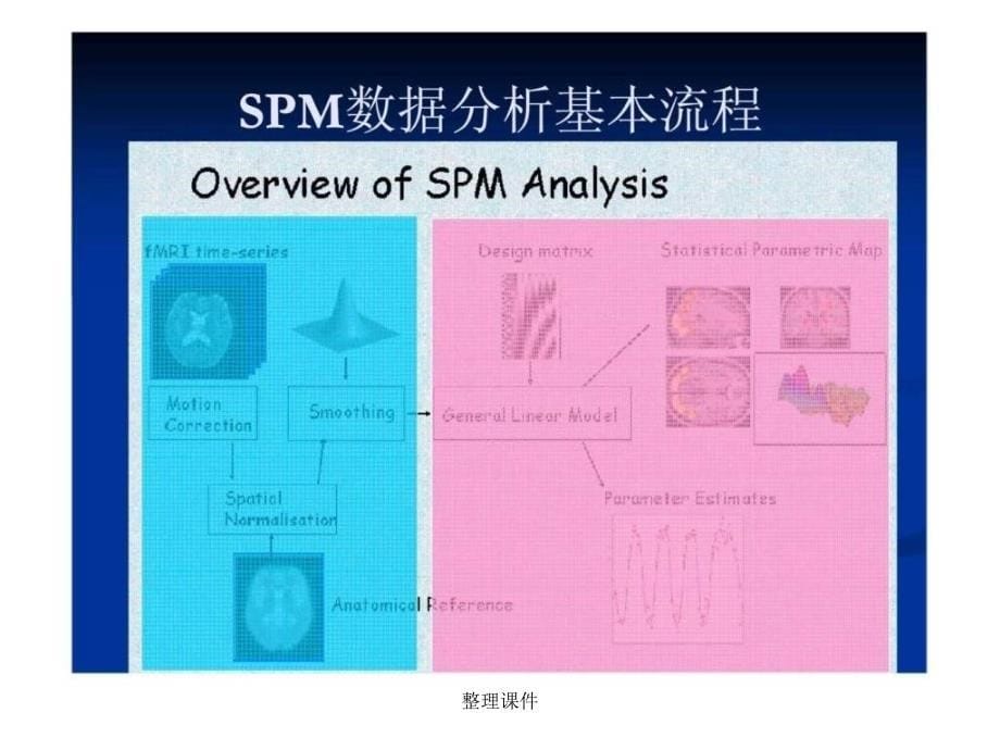 fmri数据分析系统spm原理与应用_第5页